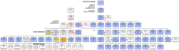kl_tree_600.png